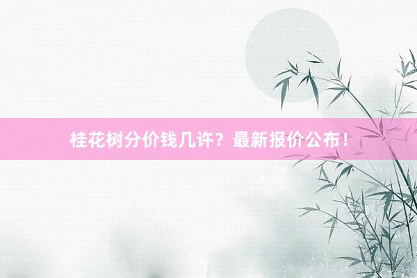 桂花树分价钱几许？最新报价公布！